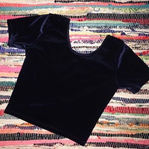 Deep Purple Velvet Crop Top